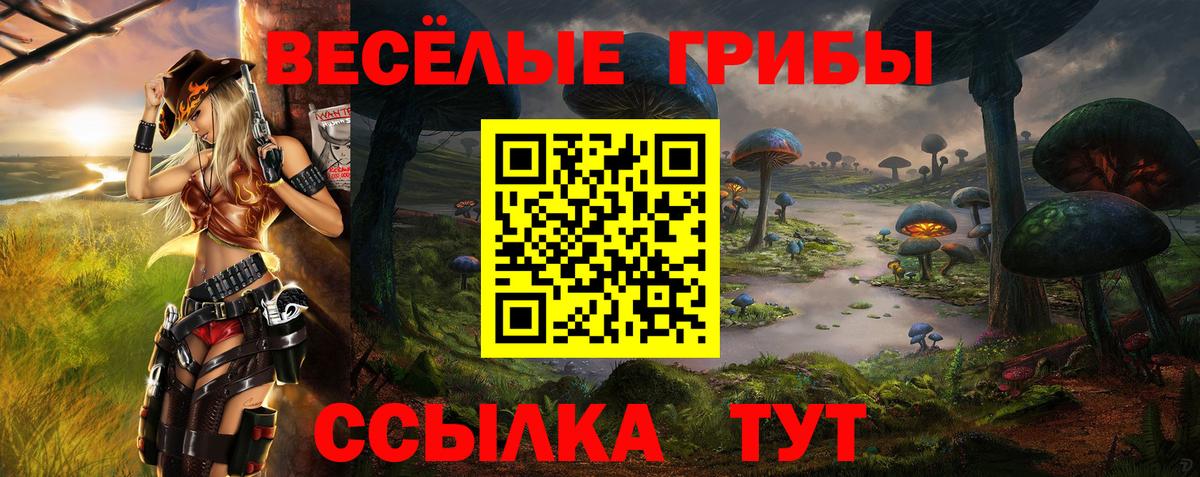 Галлюциногенные грибы Psilocybine cubensis Истра