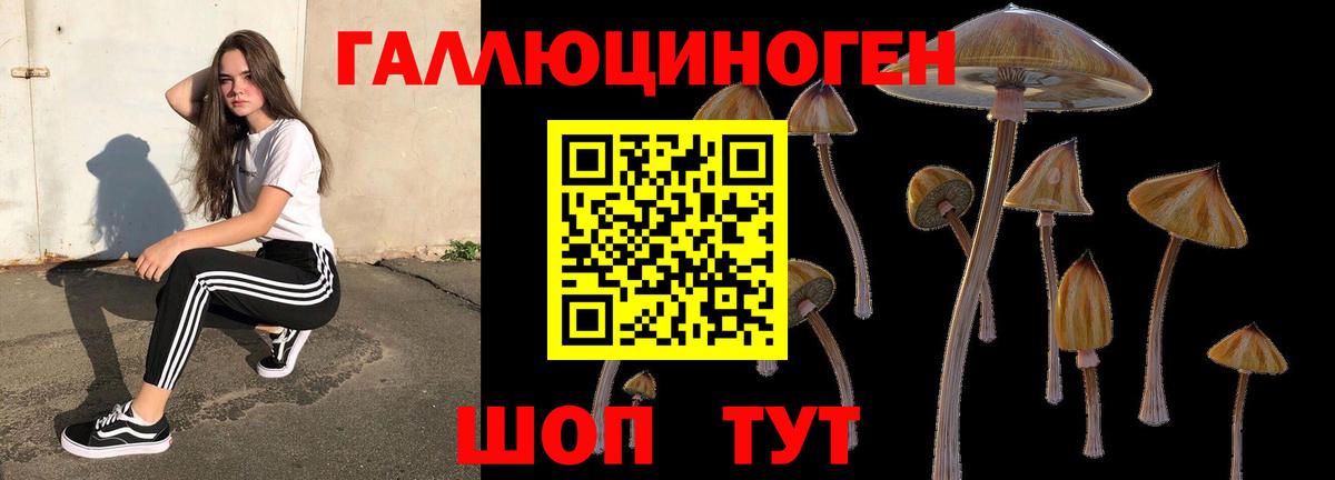 Истра  Псилоцибиновые грибы прущие грибы  Псилоцибиновые грибы Magic Shrooms  Вход с VPN 